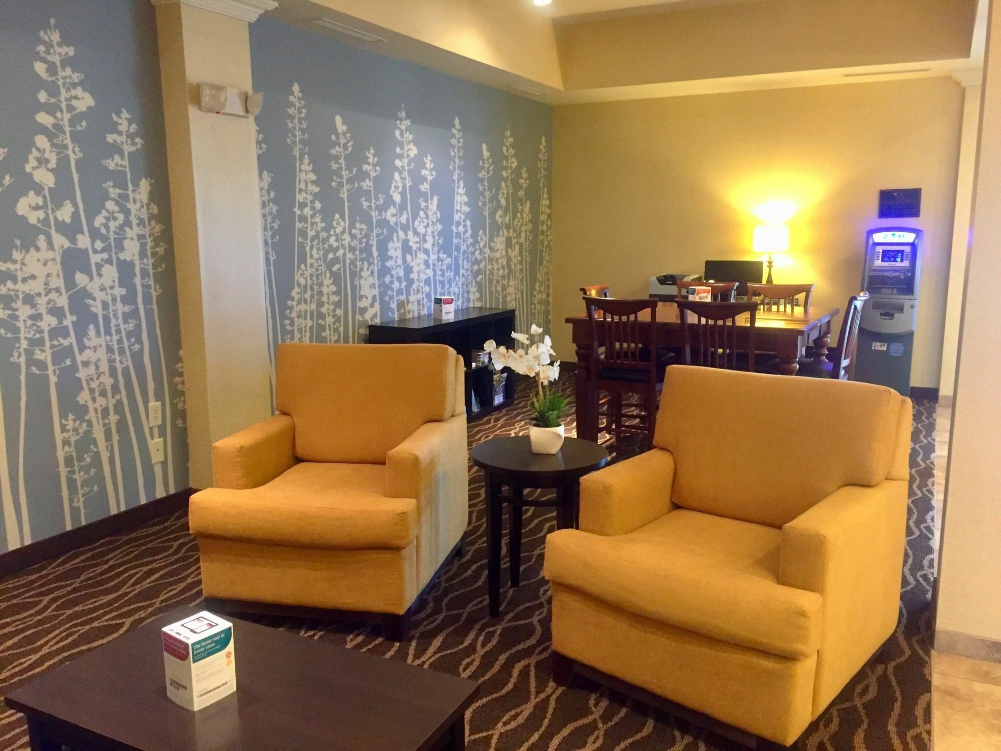 Sleep Inn & Suites Rapid City Ngoại thất bức ảnh