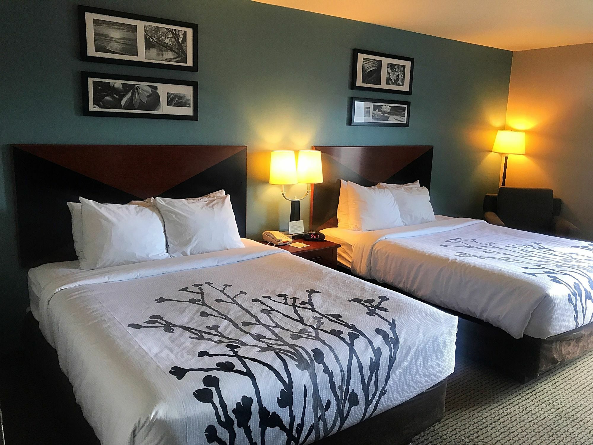 Sleep Inn & Suites Rapid City Ngoại thất bức ảnh